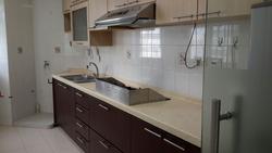 Blk 207A Compassvale Lane (Sengkang), HDB 4 Rooms #133410802